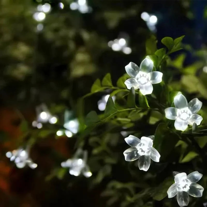 LumiBlossom - Solárne záhradné kvetinové svetlo
