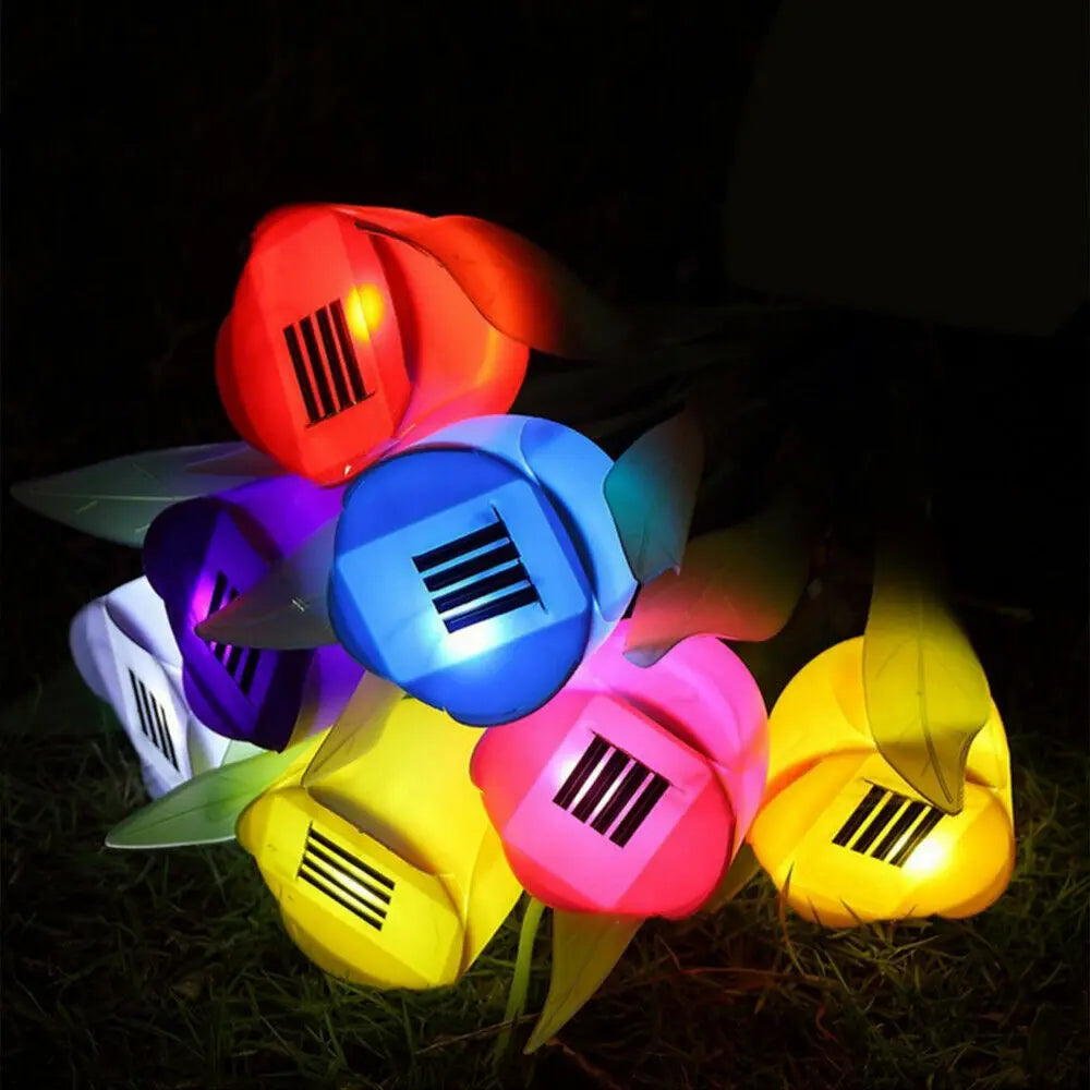 PetalGlow - Solárne osvetlenie tulipánov