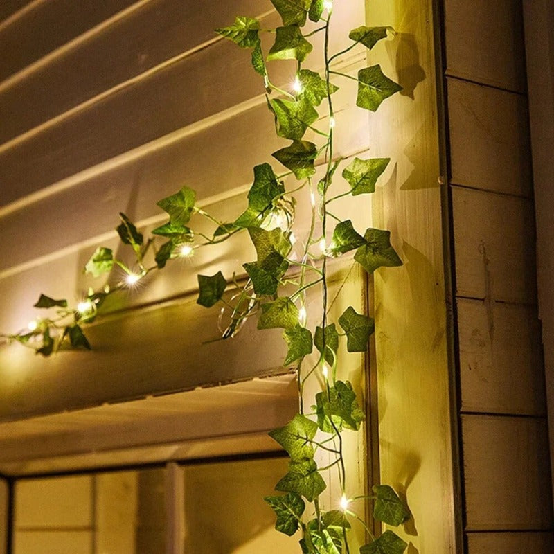 BotaniShade - String lampa na rastliny