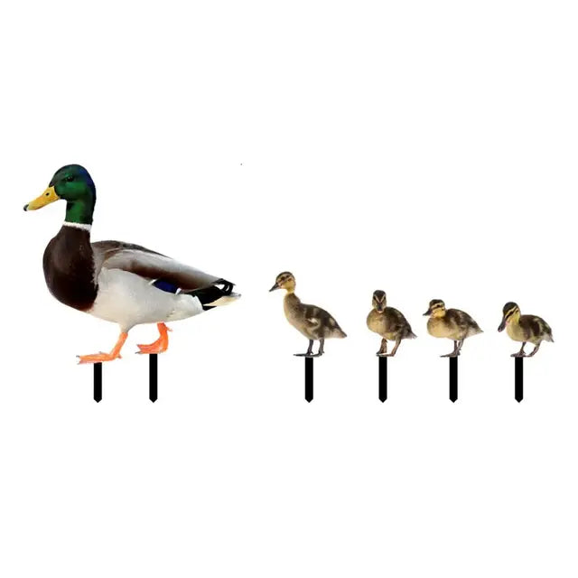 EcoDuck - dekorácie z kačacej hromady