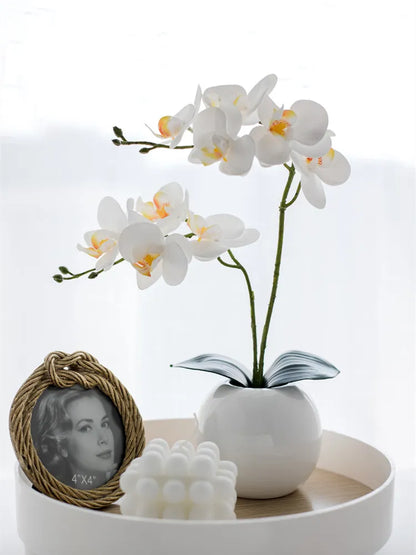 MysticFlora - Umelé kvety orchideí